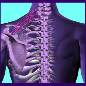 Active Release Techniques for Back Pain