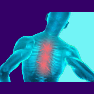 Back Pain Exercises