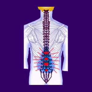 Back Pain Information