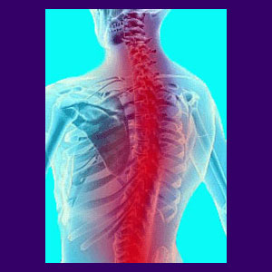 Back Pain Rehabilitation 