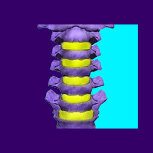 Cervical Spine Anatomy