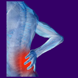 Lower Back and Hip Pain