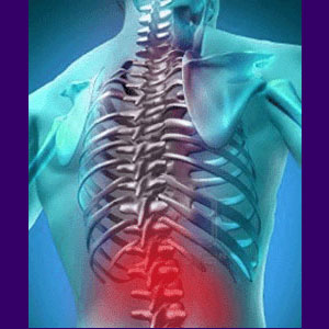 Lower Back Pain Exercises