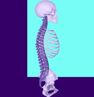 Spinal Manipulation